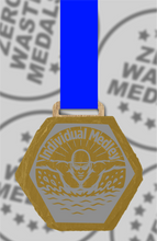 Load image into Gallery viewer, Slate Engraved Individual Medley Medal – 75mm Sustainable Design, Made in the UK
