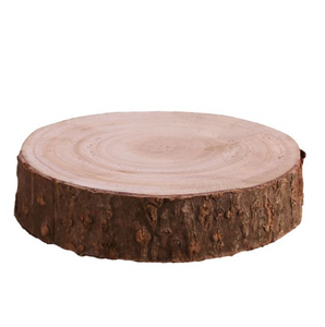 Chunky Log Slice Trophy (Small Depth 10-13 cm)