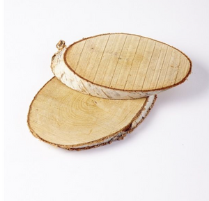 Birch Log Slice Trophy (Medium 16cm - 23cm)